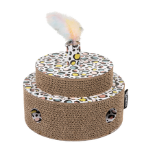 District 70 Fiesta – Sprinkle