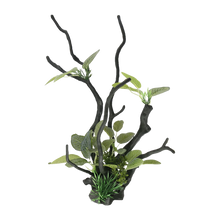 Drivved Planta Akvariedekoration
