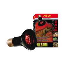 Exoterra Infrared Basking Spot R30 E27 - Röd | Endast 229 kr! - Zoogiganten