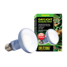 Exoterra Daylight Basking Spot 100W R25 E27 - Grön | Endast 169 kr! - Zoogiganten