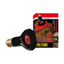 Exoterra Infrared Basking Spot R20 E27 - Röd | Endast 169 kr! - Zoogiganten