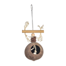 Kokosboll & Snäckor - Fågelleksak | Endast 179 kr! - Zoogiganten