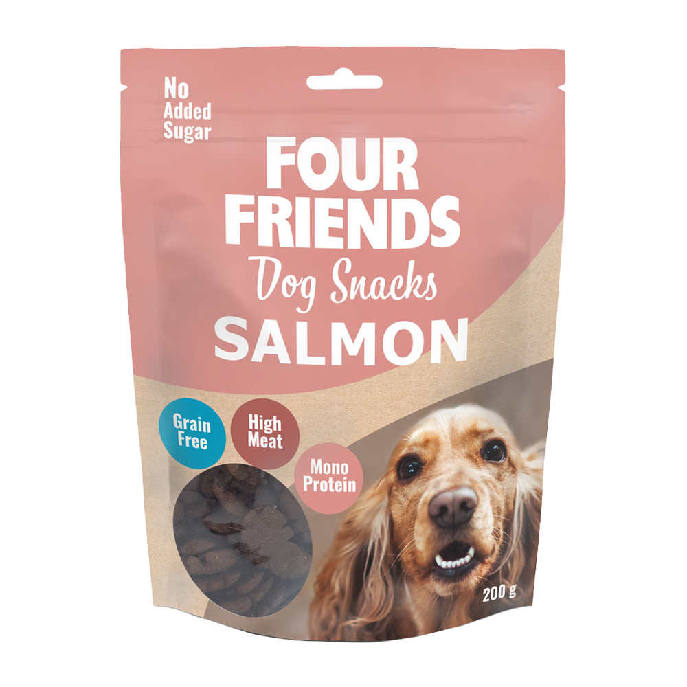 FourFriends Hundesnacks Lachs – 200 g