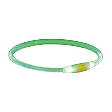 Flashring USB Grün