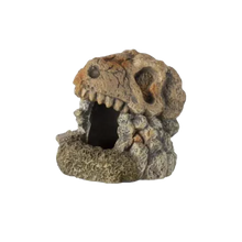 Ozami Fossil Akvariedekoration - 13X12X13 CM