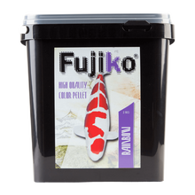 Fujiko Rainbow Dammfoder | Endast 399 kr! - Zoogiganten