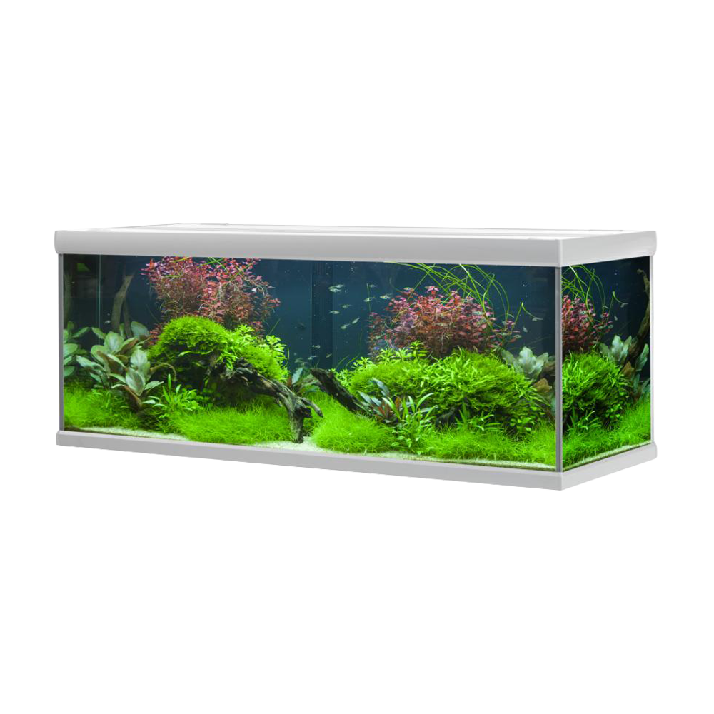 Fusion Aquarium / Silber Weiß – 160 x 60 x 64 cm, 576 l