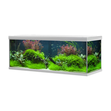 Fusion Aquarium / Silber Weiß – 160 x 60 x 64 cm, 576 l