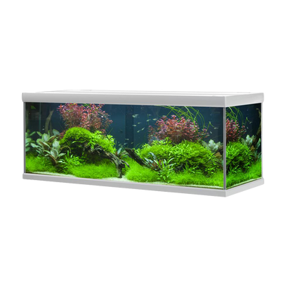 Fusion Aquarium / Silber Weiß – 160 x 60 x 64 cm, 576 l