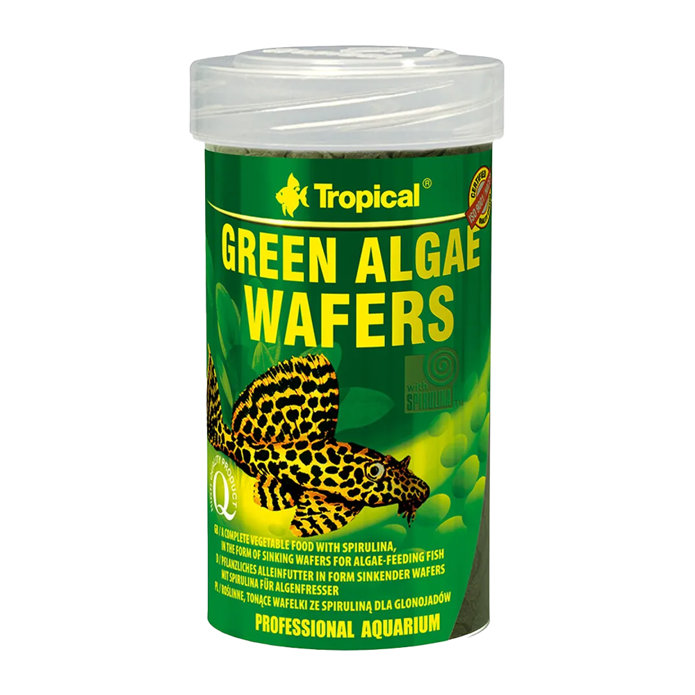 Tropical Alger Wafers | Endast 89 kr! - Zoogiganten