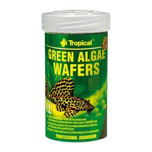 Tropical Alger Wafers | Endast 89 kr! - Zoogiganten