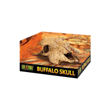 Exoterra Grotta Buffel Kranium | Endast 249 kr! - Zoogiganten