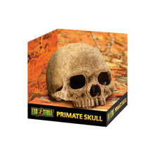 Exoterra Grotta Dödskalle | Endast 219 kr! - Zoogiganten