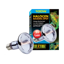 Exoterra Halogen Basking Spot R25 E27 - 100 W | Endast 289 kr! - Zoogiganten