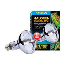 Exoterra Halogen Basking Spot R30 E27 - 150 W | Endast 289 kr! - Zoogiganten