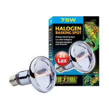 Exoterra Halgon Basking Spot R25 E27 - 75 W | Endast 289 kr! - Zoogiganten