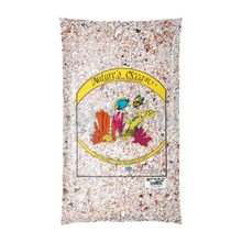 Hawaiian Puka Shells - 6.8 KG | Endast 649 kr! - Zoogiganten