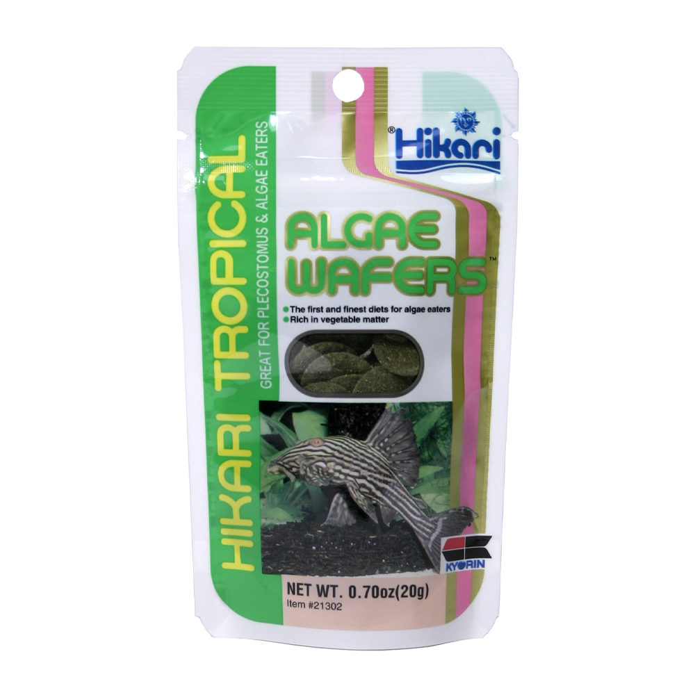 Hikari Algae Wafers | Endast 49 kr! - Zoogiganten