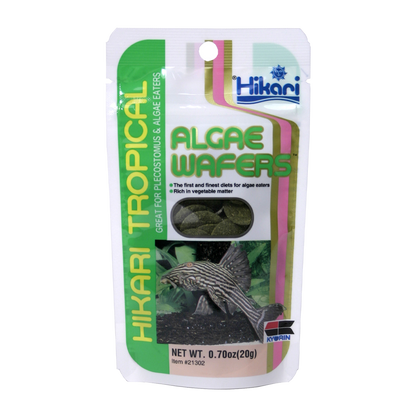 Hikari Algae Wafers | Endast 49 kr! - Zoogiganten