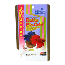 Hikari Betta Gold Kampfisk | Endast 129 kr! - Zoogiganten