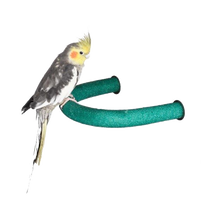 Hörnsittpinne | Endast 189 kr! - Zoogiganten