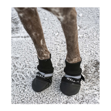 Hundeschuhe Walker Comfort 2er-Pack Schwarz