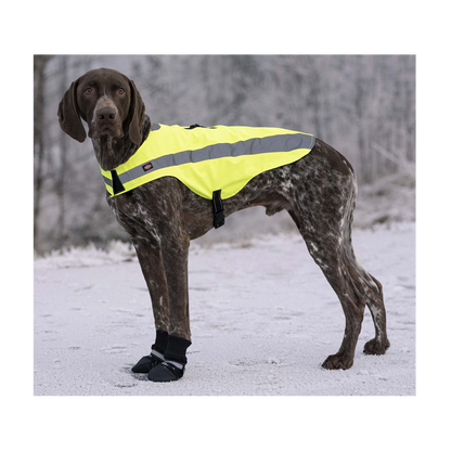 Hundeschuhe Walker Comfort 2er-Pack Schwarz