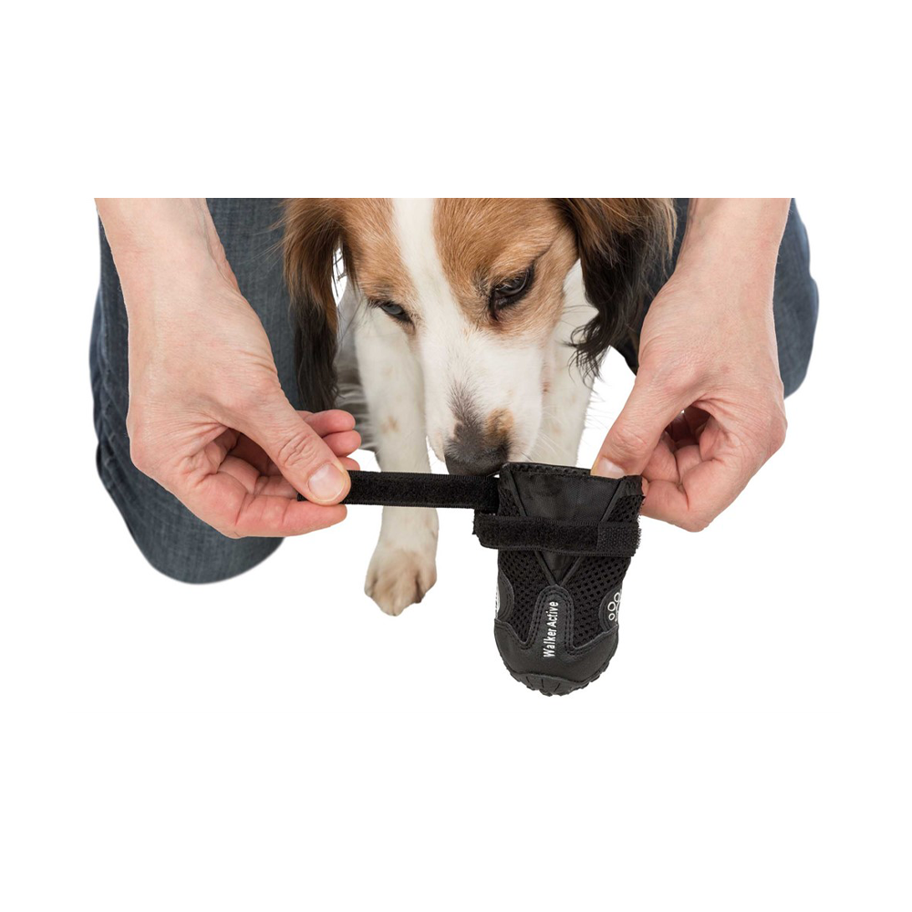 Hundeschuhe Walker Active 2er-Pack Schwarz