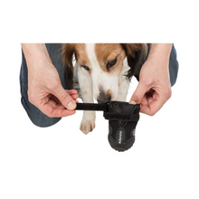 Hundeschuhe Walker Active 2er-Pack Schwarz