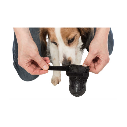 Hundeschuhe Walker Active 2er-Pack Schwarz