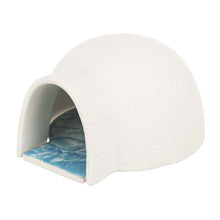 Igloo kylplatta - Möss/Hamster | Endast 159 kr! - Zoogiganten