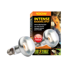 Exoterra Intense Basking Spot S25 E27 Orange - 100W | Endast 119 kr! - Zoogiganten