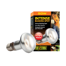 Exoterra Intense Basking Spot S20 - E27 | Endast 89 kr! - Zoogiganten