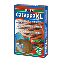 JBL Catappa XL - 10 Blad | Endast 219 kr! - Zoogiganten