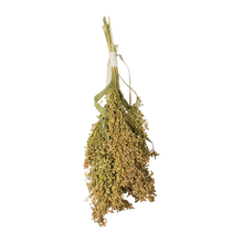 JR Farm Vipphirs - 100 G | Endast 139 kr! - Zoogiganten