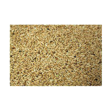 Bello Kanariefrö Rent - 5 KG | Endast 229 kr! - Zoogiganten