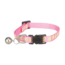 Katzenhalsband, fluoreszierend, gemischt