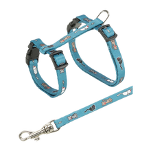 Junior Katzengeschirr + Leine 21–33 cm