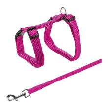 Katzenhalsband + Leine 22 - 42 CM