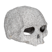 Kranium - 12X10X8 CM | Endast 99 kr! - Zoogiganten