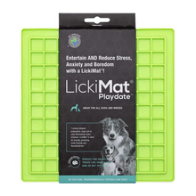 Hundeschüssel Lickimat Playdate Grün – 20 x 20 cm