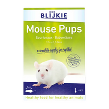 Mouse Pups - 12 Pack | Endast 119 kr! - Zoogiganten