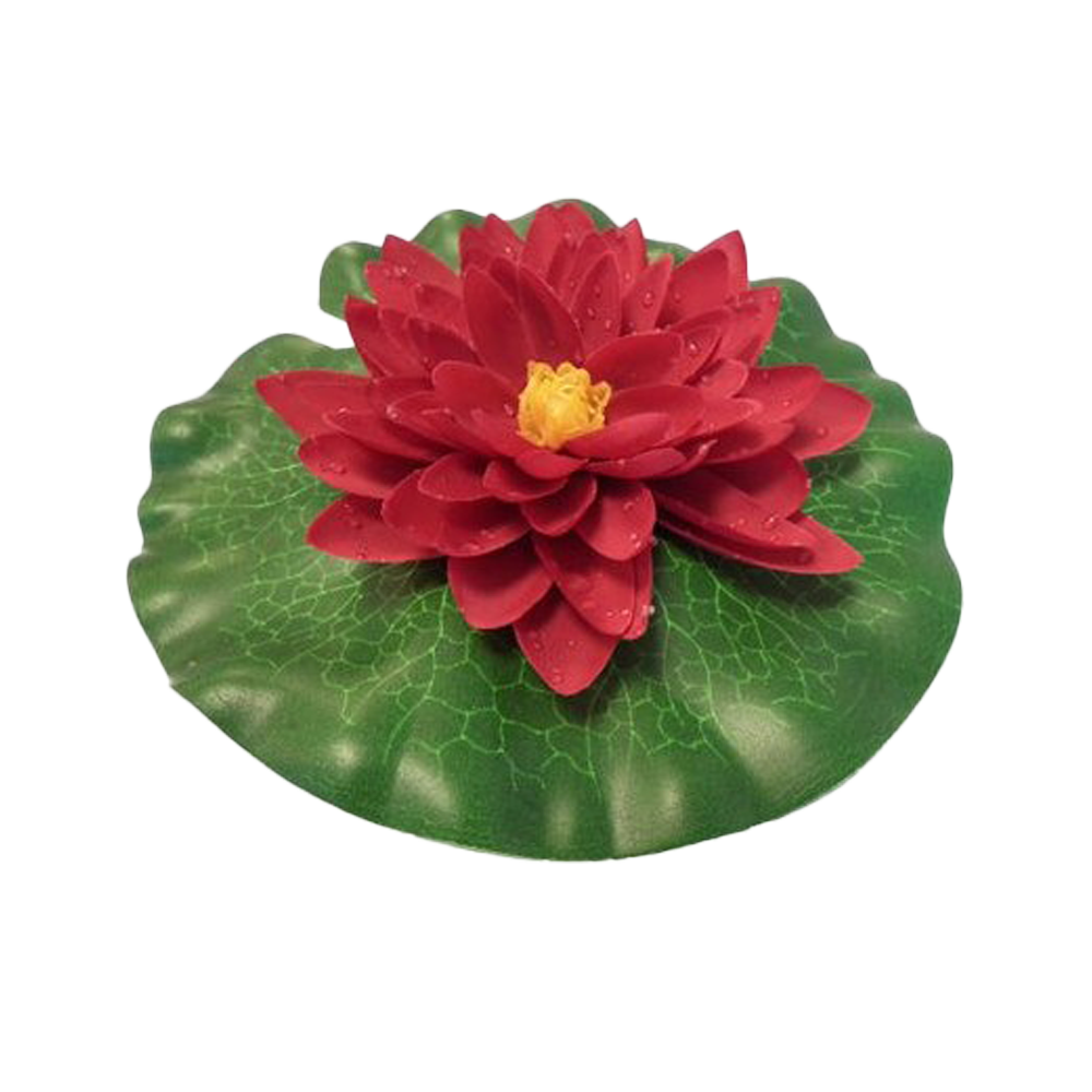 Näckros Röd - 20 CM | Endast 99 kr! - Zoogiganten