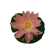 Näckros Rosa - 15 Cm | Endast 89 kr! - Zoogiganten