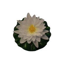 Näckros Vit - 15 CM | Endast 89 kr! - Zoogiganten