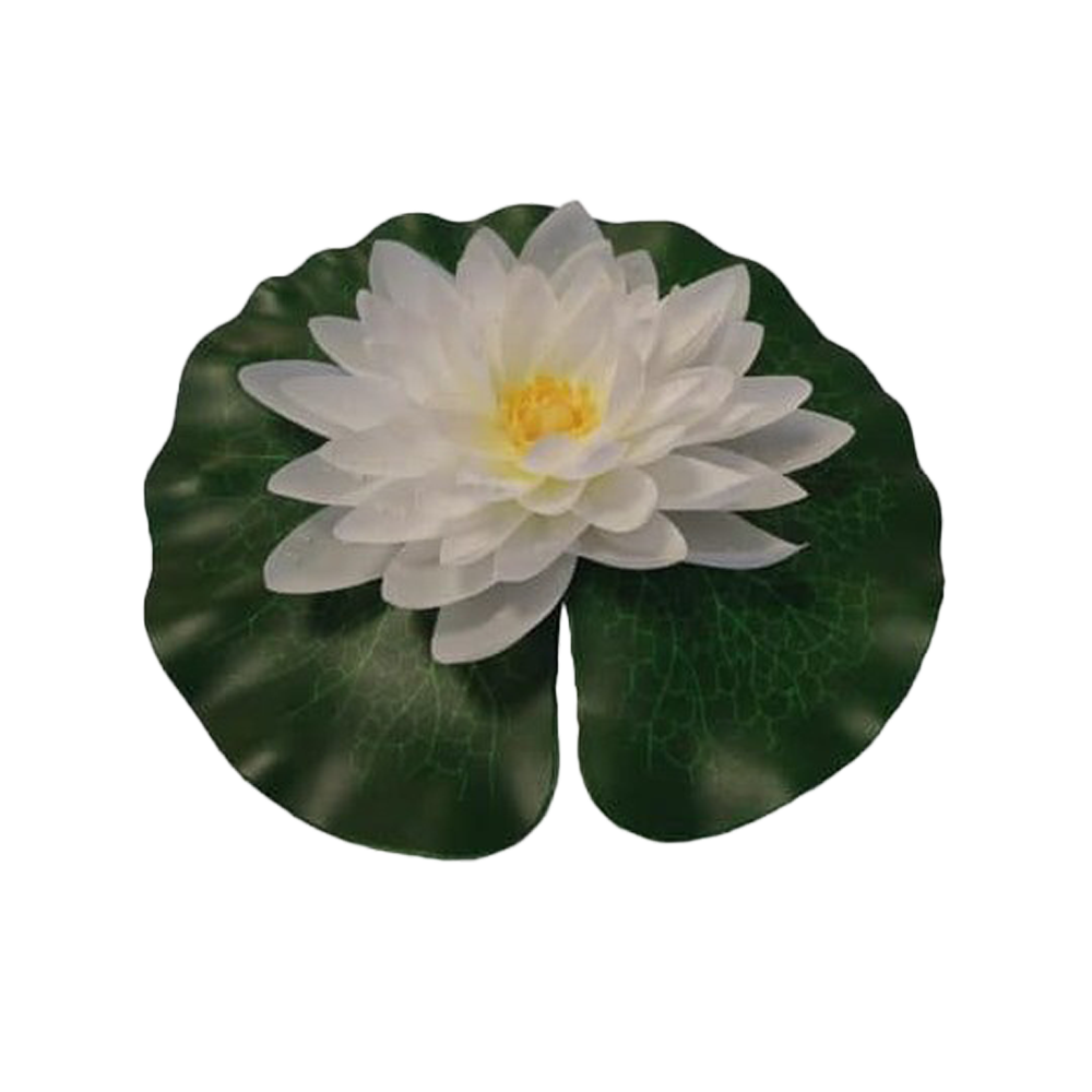 Näckros Vit - 20 CM | Endast 99 kr! - Zoogiganten