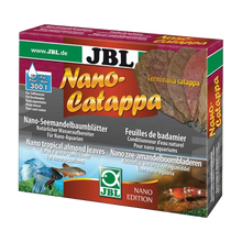 JBL Nanocatappa - 10 Blad | Endast 119 kr! - Zoogiganten