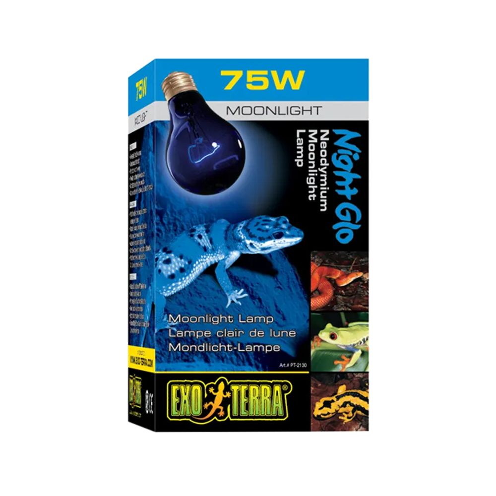 Exoterra Nattlampa E27 - Blå | Endast 99 kr! - Zoogiganten