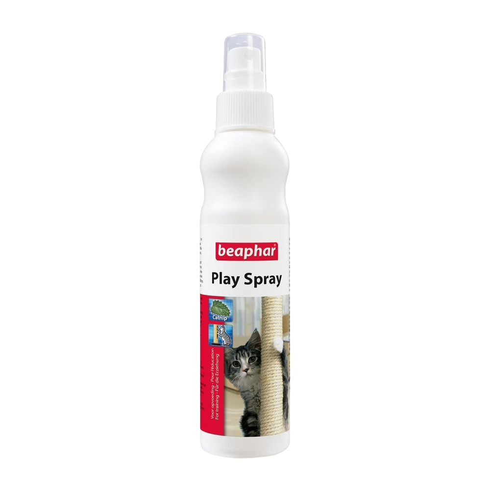 Play Spray Katze mit Minze