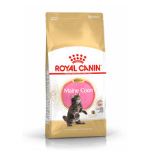 Royal Canin Maine Coon Kitten - 2 KG | Endast 449 kr! - Zoogiganten